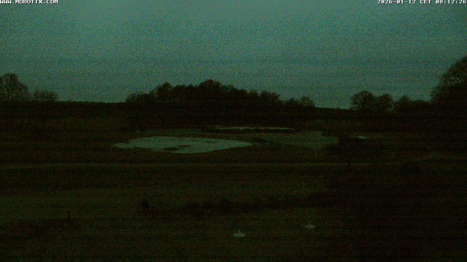 Webcam Golf Club Soufflenheim