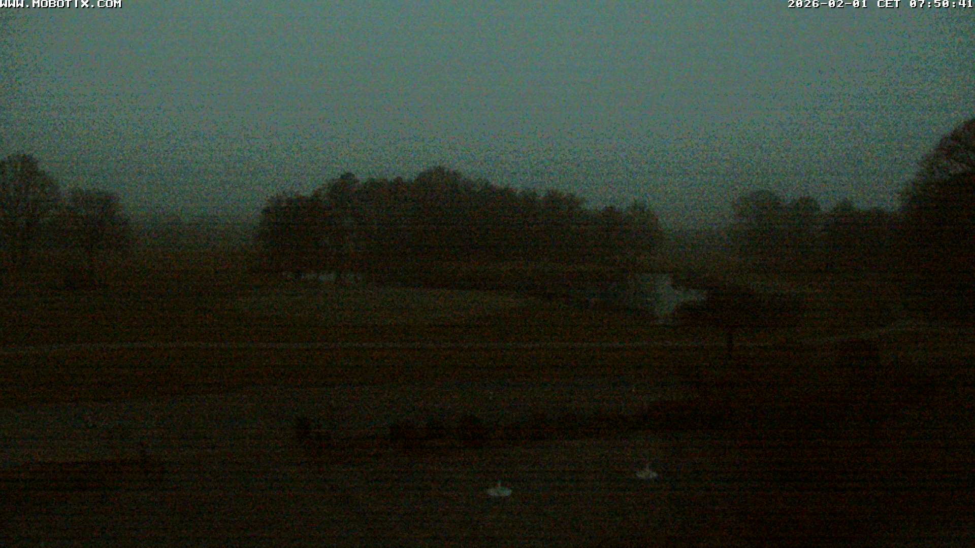 Webcam Golf Club Soufflenheim