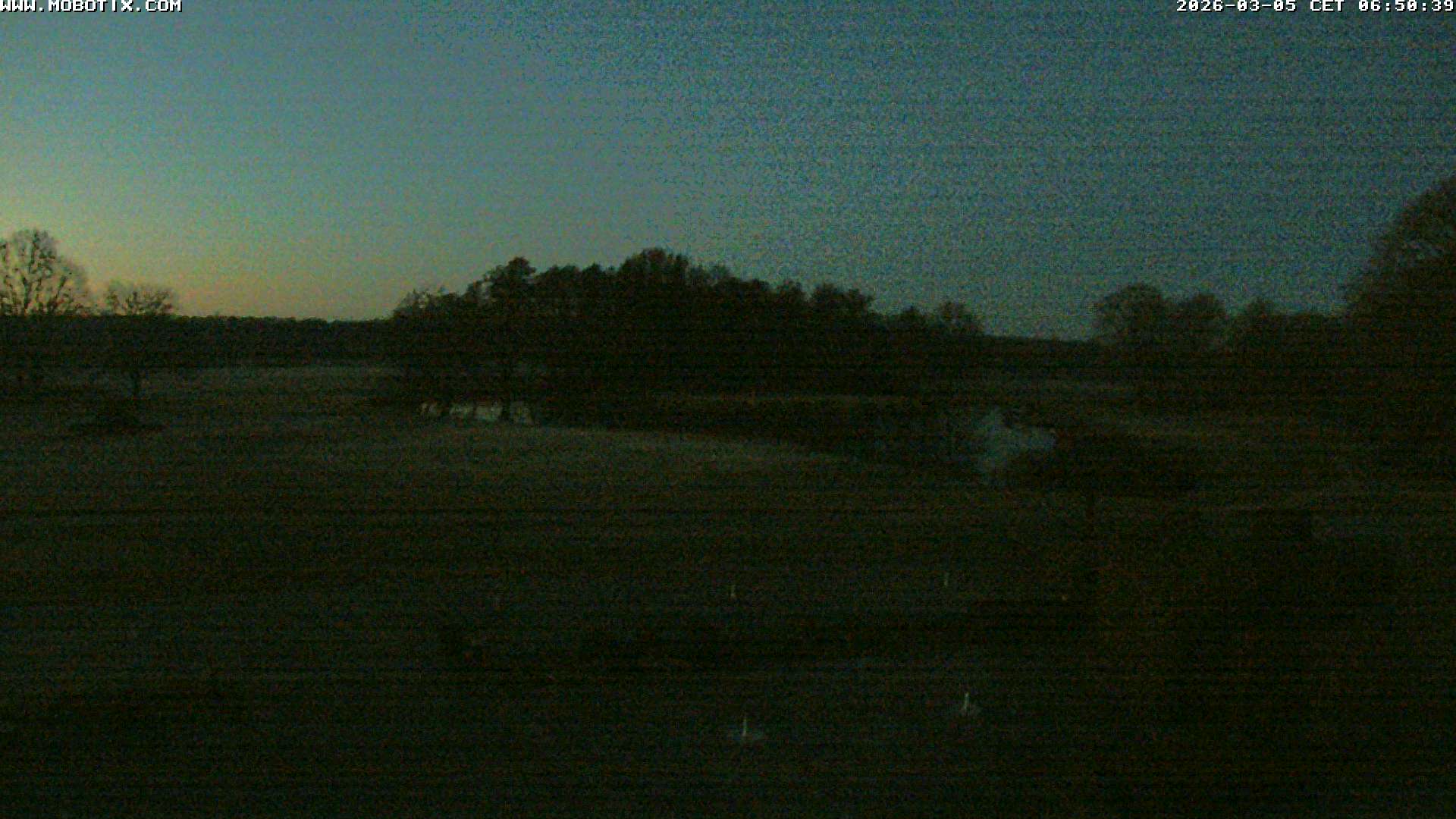 Webcam Golf Club Soufflenheim